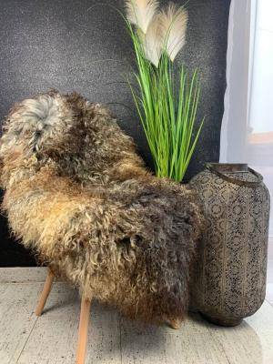Premium curly Gotland Sheepskins - Thumbnail 5