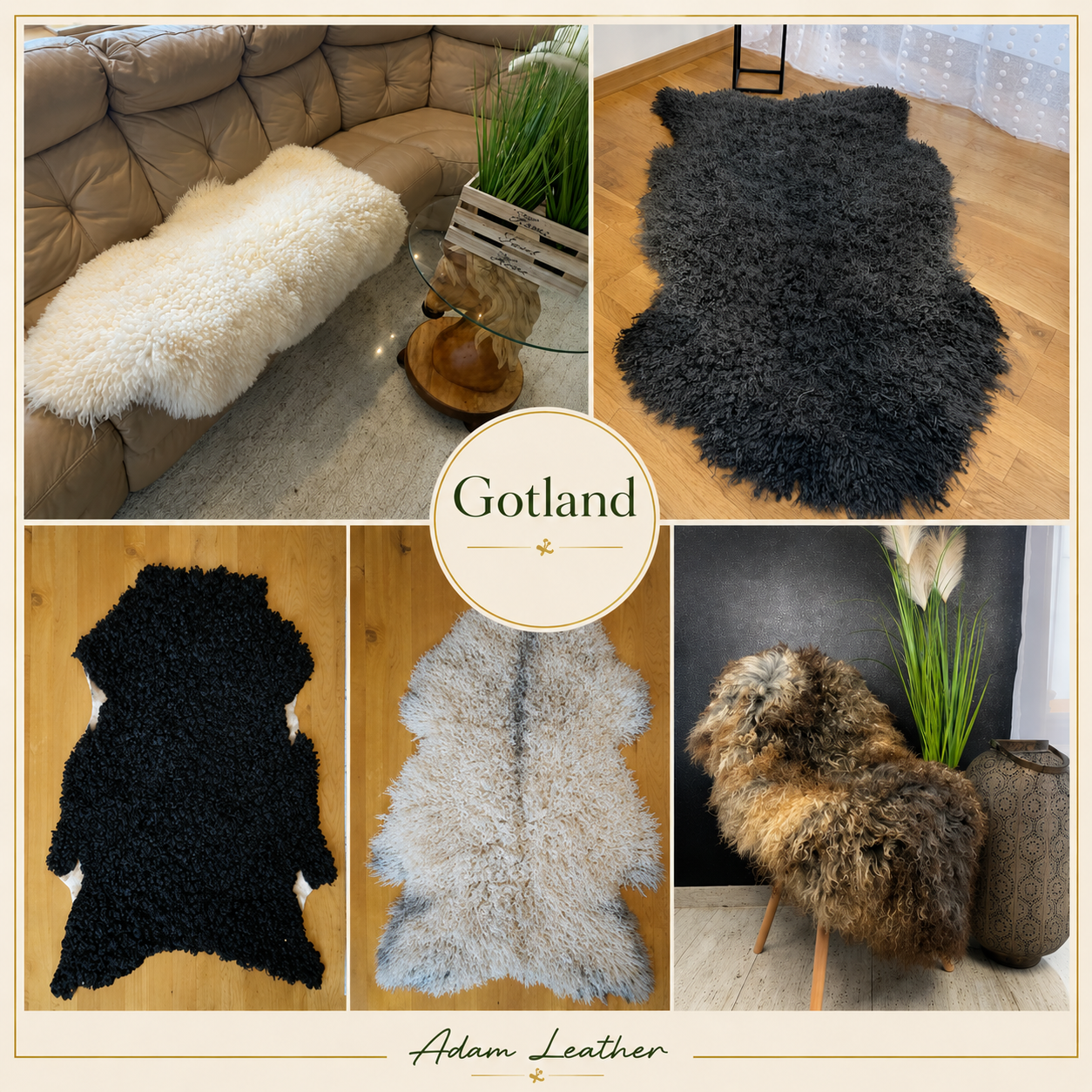 Premium curly Gotland Sheepskins
