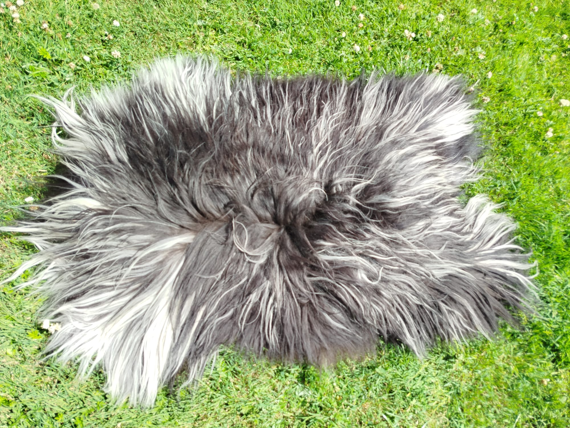 Heidschnucke Premium Sheepskins