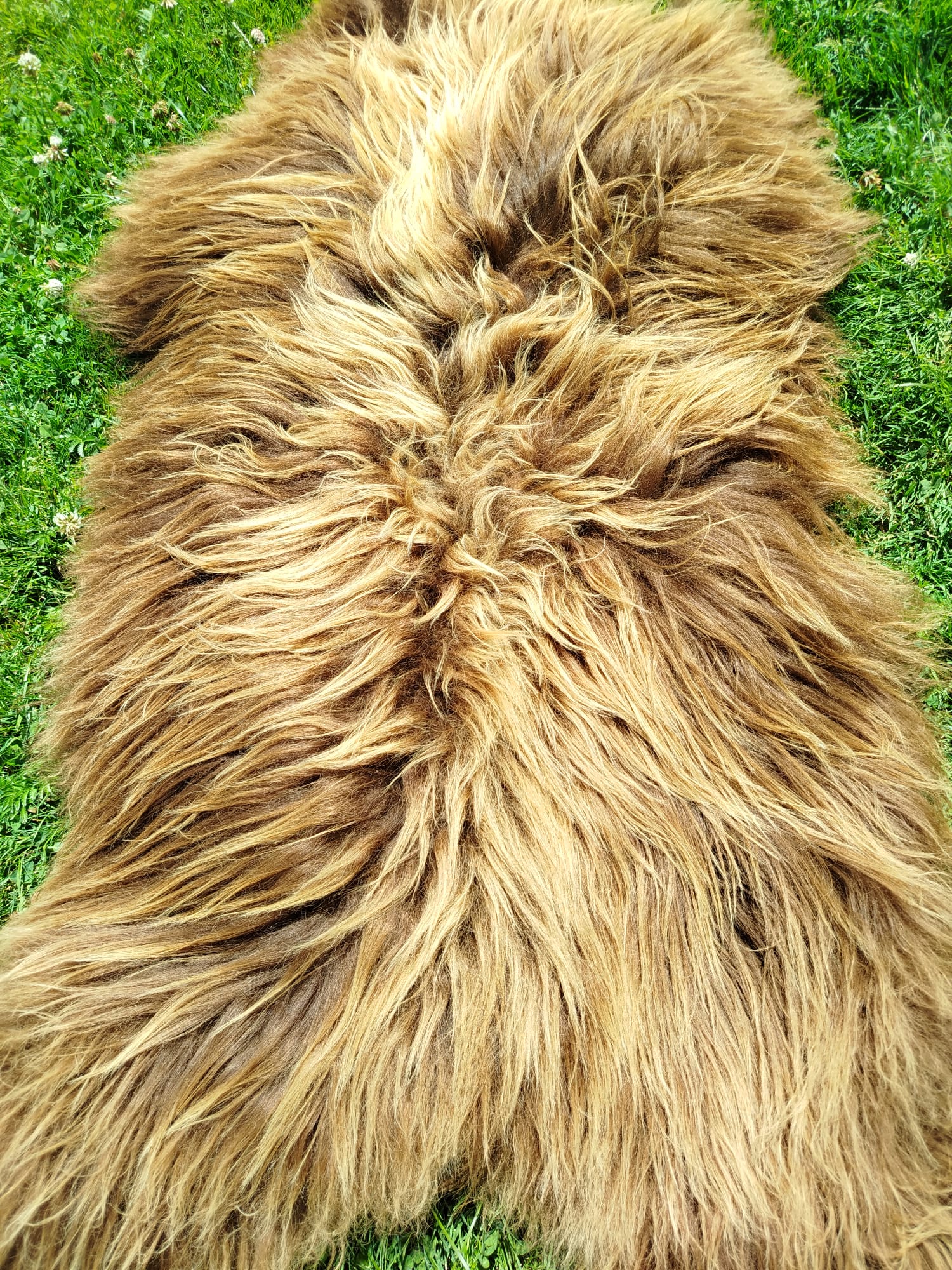 Heidschnucke Premium Sheepskins - Thumbnail 4