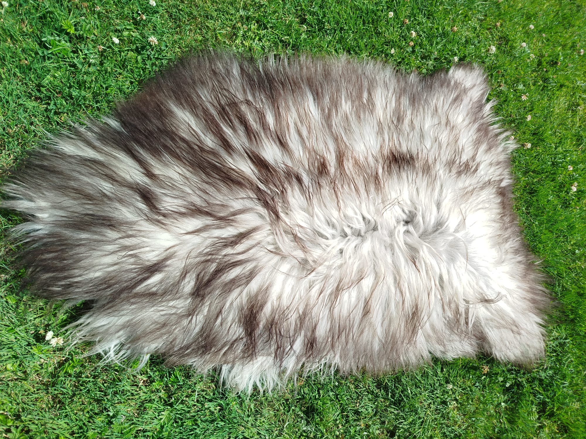 Heidschnucke Premium Sheepskins - Thumbnail 5