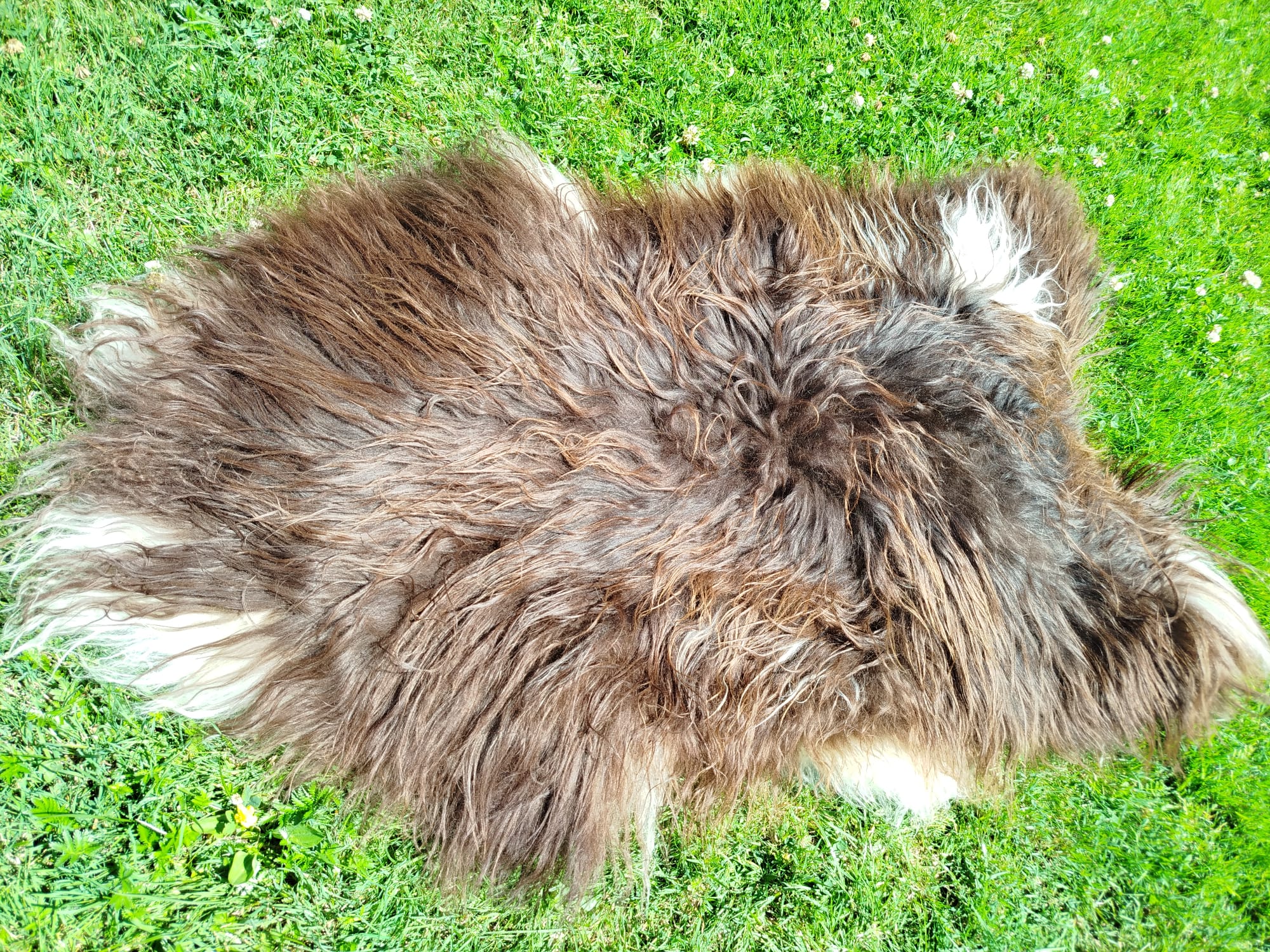 Heidschnucke Premium Sheepskins - Thumbnail 3
