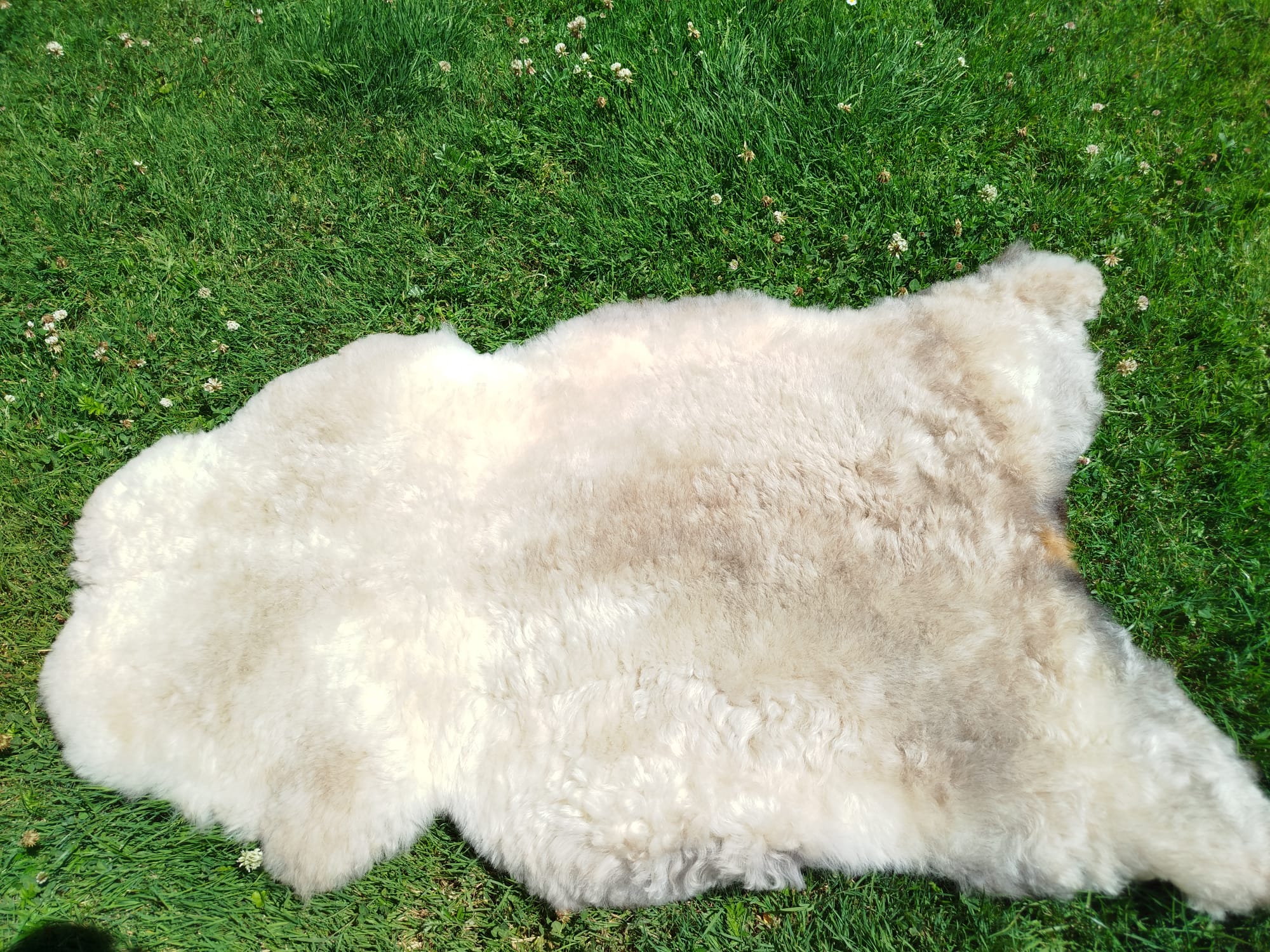 Premium Swedish Sheepskins - Thumbnail 3