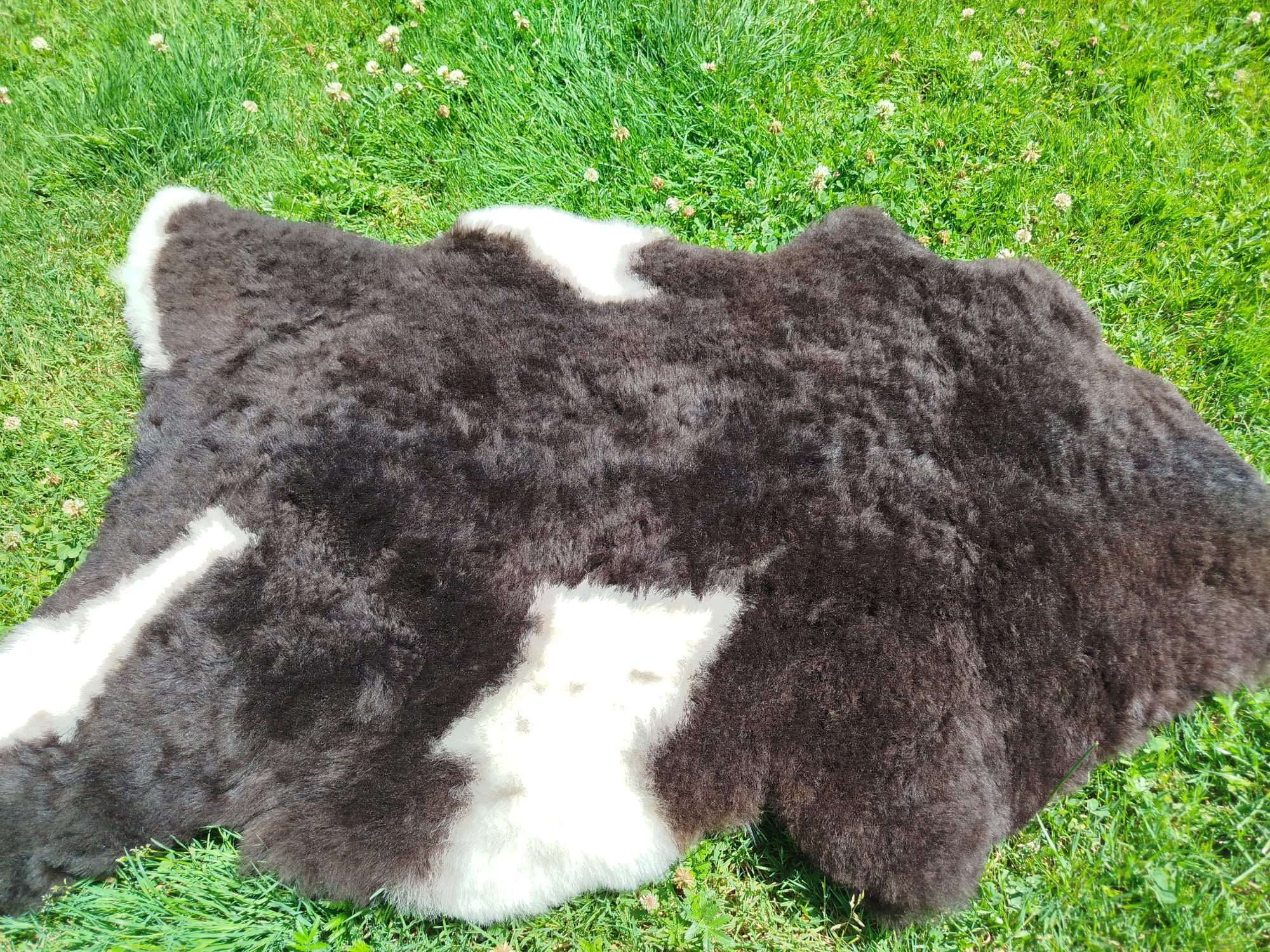 Premium Swedish Sheepskins - Thumbnail 4