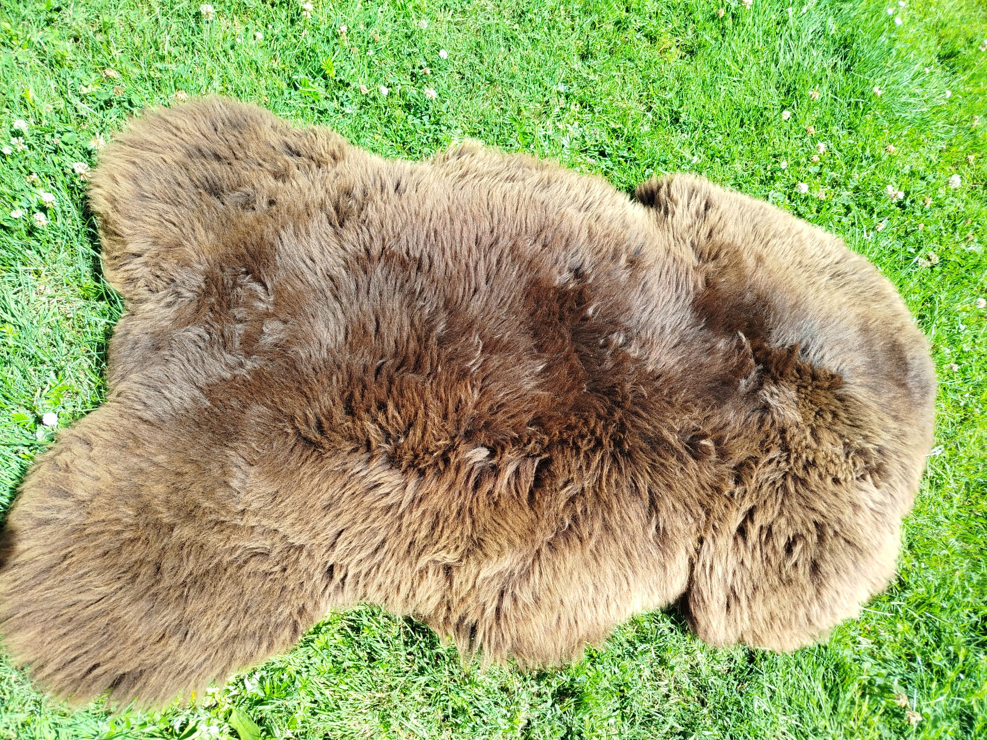 Premium Swedish Sheepskins - Thumbnail 5
