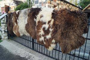 Premium Dutch Sheepskins
