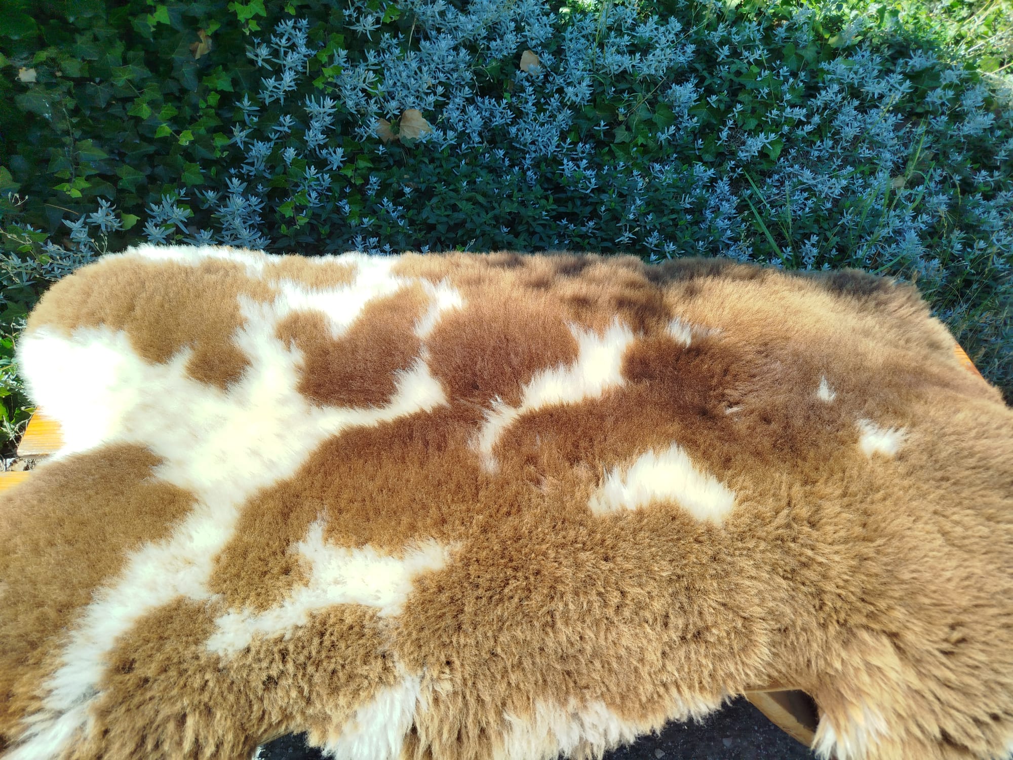 Premium Dutch Sheepskins - Thumbnail 3